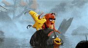 the angry birds movie swimming GIF by Angry Birds