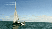 Los Angeles Guitar GIF by Sub Pop Records