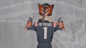 Football Reaction GIF by New England Patriots