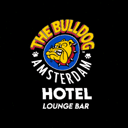 Tb-Hotel-Lounge-Bar GIF by The Bulldog Amsterdam