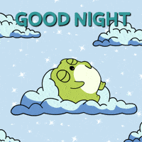Good Night GIF by Ordinary Frends