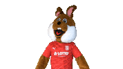 Mascot Thumbs Up Sticker by TuS Bersenbrück