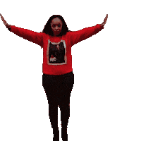 Pyramid Delta Sticker by The Hair Shield