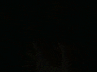 Music Video Mv GIF by Buju Banton