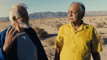 Cheech And Chong Smoke GIF by Cheech & Chong’s Last Movie