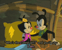 warner bros love GIF