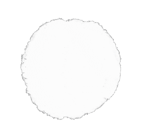 rudigierorgel giphyupload neu handlettering weiss Sticker