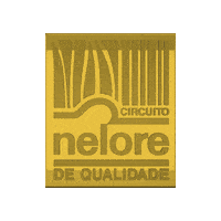 Agronegocio Boi Sticker by matsuda