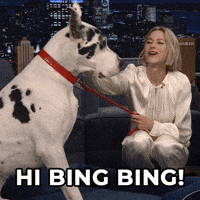 Dog GIF by The Tonight Show Starring Jimmy Fallon