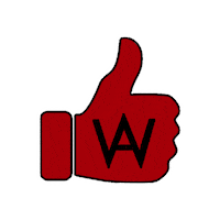 Car Wash Cars Sticker by Alvato Luxury Detailing