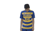Fun Hair Flip Sticker by Delaware Blue Hens