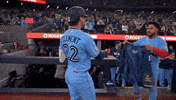 Blue Jays Baseball GIF by Toronto Blue Jays