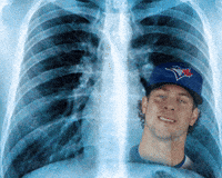 Blue Jays Dog GIF by Toronto Blue Jays