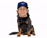 Blue Jays Dog GIF by Toronto Blue Jays