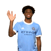 New York City Fc Reaction Sticker by NYCFC