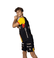Baseball Volleyball Sticker by Volley Treviso