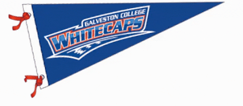 GalvestonCollege giphygifmaker gc whitecaps galveston GIF