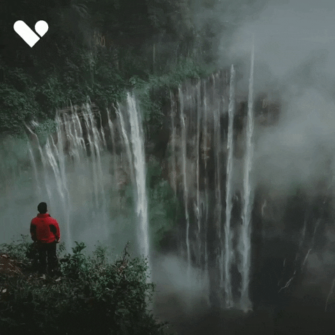 Viajala giphyupload GIF