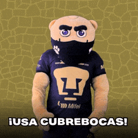 Soccer Futbol GIF by Pumas MX