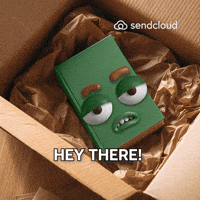 Hey There GIF by Sendcloud