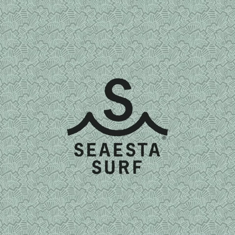 swim swimsuit GIF by Seaesta Surf