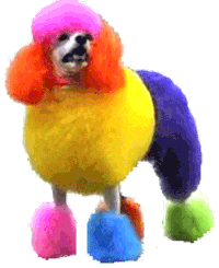 Hair Puppy Sticker by namslam