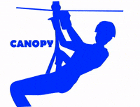 EKOPARKTAPALPA zip line tirolesa tapalpa ekopark tapalpa GIF