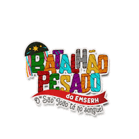 EMSERH_MA doesangue tanosangue emserhma doaçaodesangue Sticker