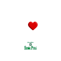 Chimarrao Erva Sticker by Seiva Pura