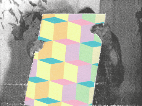 Looking Sound And Vision GIF by Beeld en Geluid