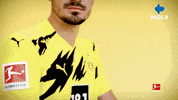 Happy Fun GIF by MolaTV