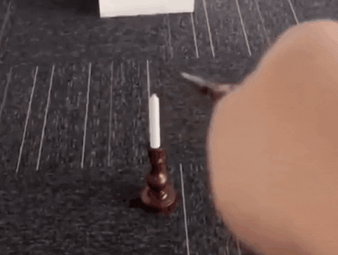 LifefoxStore giphyupload GIF