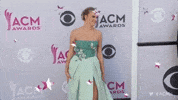 country music GIF by Academy of Country Music Awards