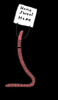 wurmkiste  GIF