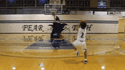 Wethebeach Virginiawesleyan GIF by VWU Marlins