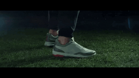 songsususu giphygifmaker GIF