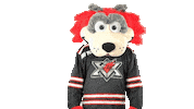 Shocked Hockey Sticker by Huntsville Havoc