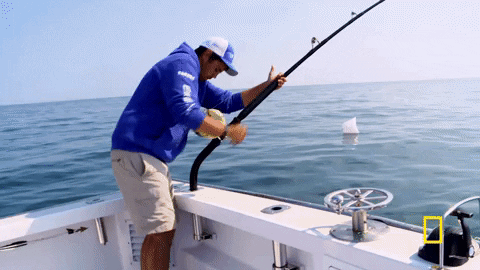 dfd333 giphyupload GIF
