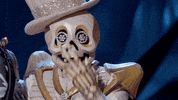 Fox GIF by The Masked Singer