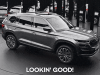 skodaglobal good amazing great right GIF