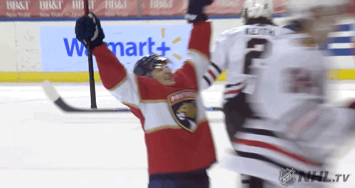 Happy Ice Hockey GIF by NHL