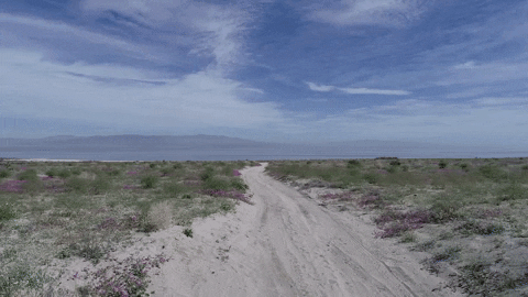 vickieconnor giphygifmaker GIF