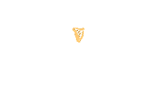 Beer Drink Sticker by Guinness
