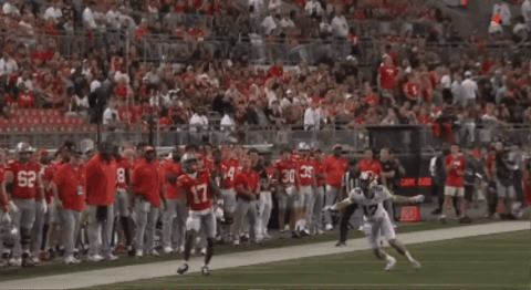 Carnell Tate’s sideline catch