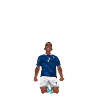World Cup Football Sticker by Panini America