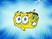 season 6 dear vikings GIF by SpongeBob SquarePants