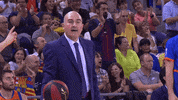 Liga Endesa Basketball GIF by ACB