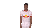 Referee What Sticker by FC Red Bull Salzburg