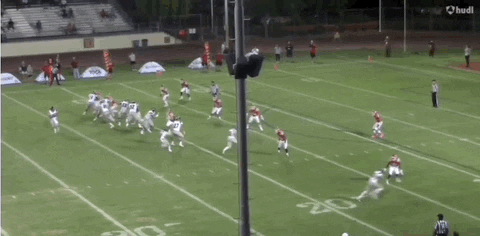 gregsmithe714 giphyupload GIF