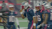 Cam Newton Reaction GIF by New England Patriots